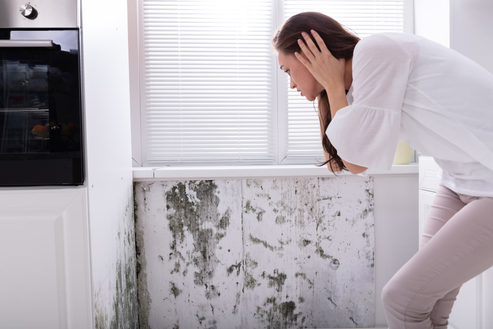 Les conséquences d’une maison humide pour la santé 