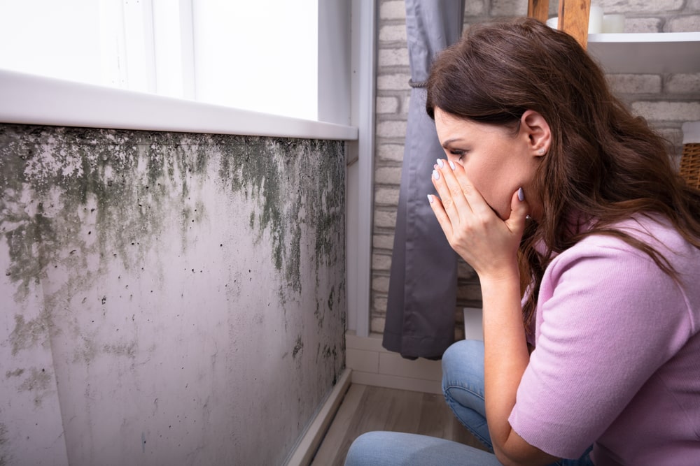 Quelles sont les conséquences d’une maison humide pour la santé ? 